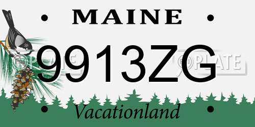 9913ZG Maine License Plate