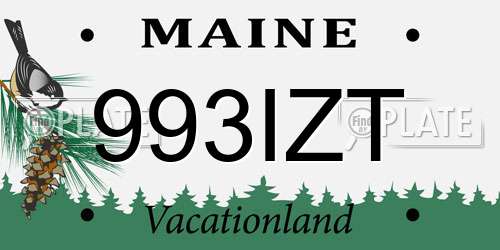 993IZT Maine License Plate