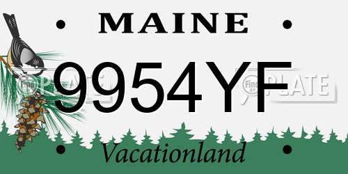 9954YF Maine License Plate
