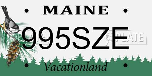 995SZE Maine License Plate