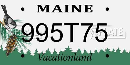 995T75 Maine License Plate