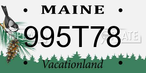 995T78 Maine License Plate