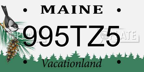 995TZ5 Maine License Plate