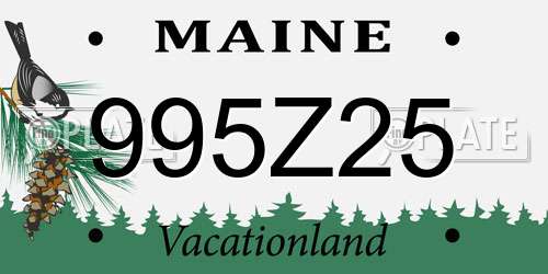 995Z25 Maine License Plate