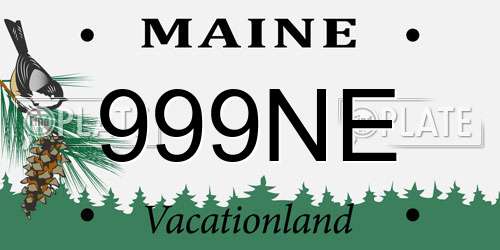 999NE Maine License Plate