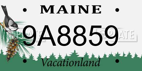 9A8859 Maine License Plate