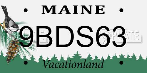 9BDS63 Maine License Plate