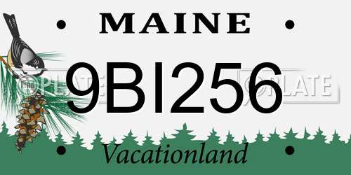 9BI256 Maine License Plate