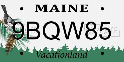 9BQW85 Maine License Plate