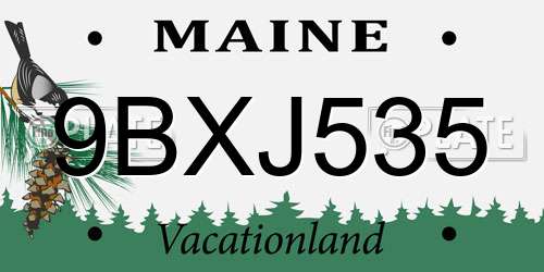 9BXJ535 Maine License Plate