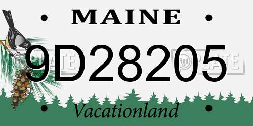 9D28205 Maine License Plate
