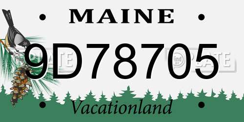 9D78705 Maine License Plate