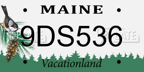 9DS536 Maine License Plate