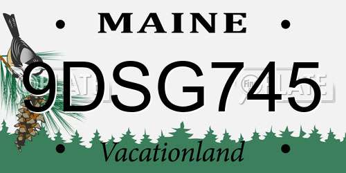 9DSG745 Maine License Plate