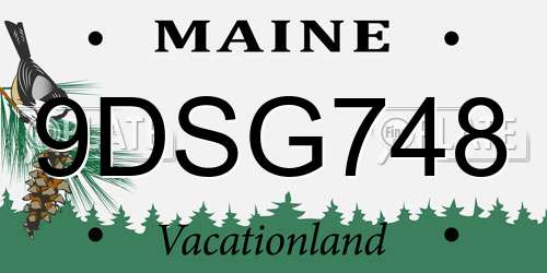 9DSG748 Maine License Plate