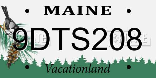 9DTS208 Maine License Plate
