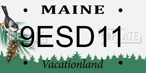 9ESD11 Maine License Plate