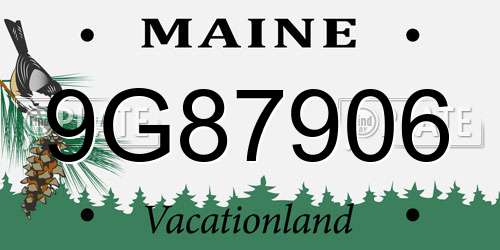 9G87906 Maine License Plate