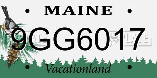 9GG6017 Maine License Plate