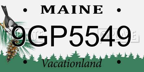9GP5549 Maine License Plate