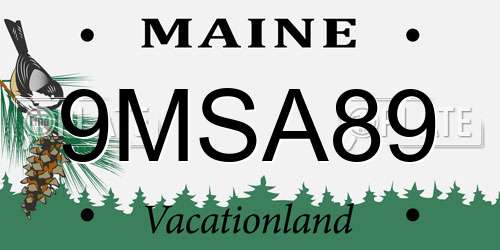 9MSA89 Maine License Plate
