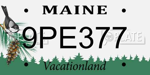 9PE377 Maine License Plate