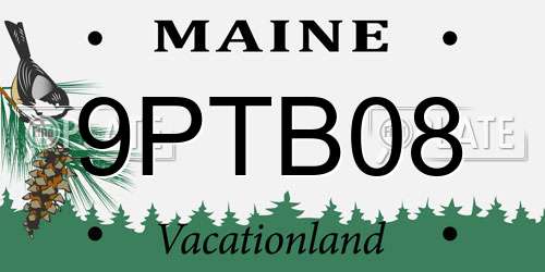 9PTB08 Maine License Plate