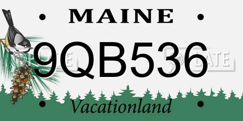 9QB536 Maine License Plate