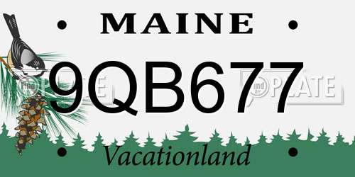 9QB677 Maine License Plate