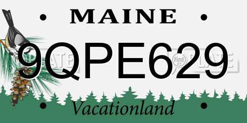 9QPE629 Maine License Plate