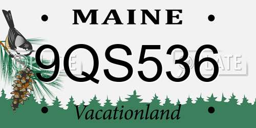 9QS536 Maine License Plate