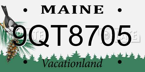 9QT8705 Maine License Plate