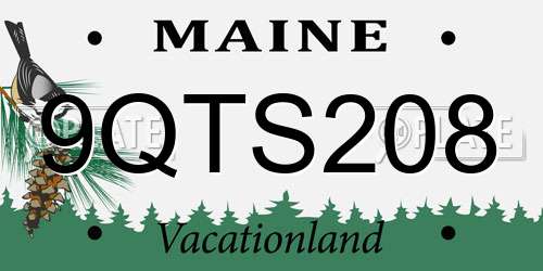 9QTS208 Maine License Plate