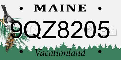 9QZ8205 Maine License Plate