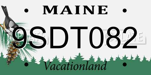 9SDT082 Maine License Plate