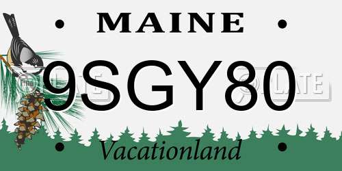 9SGY80 Maine License Plate