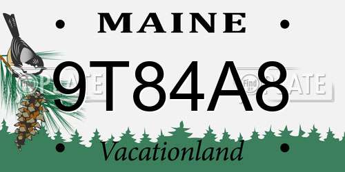 9T84A8 Maine License Plate