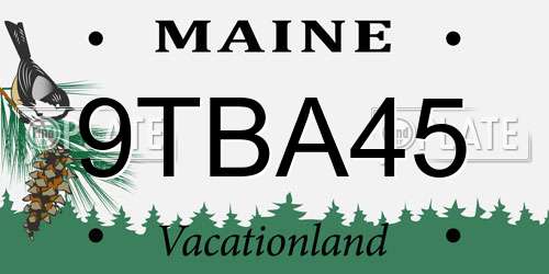 9TBA45 Maine License Plate