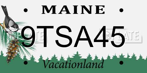 9TSA45 Maine License Plate