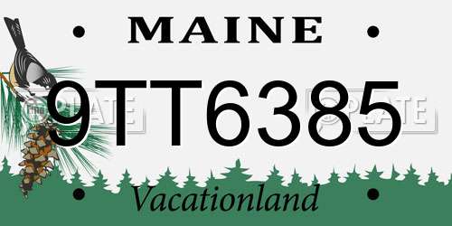 9TT6385 Maine License Plate
