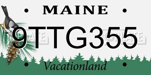 9TTG355 Maine License Plate