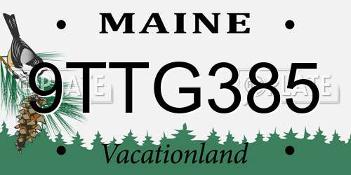 9TTG385 Maine License Plate