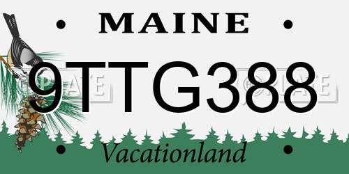 9TTG388 Maine License Plate