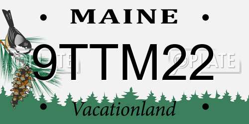 9TTM22 Maine License Plate