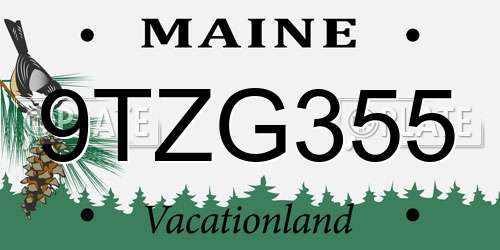 9TZG355 Maine License Plate