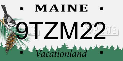 9TZM22 Maine License Plate