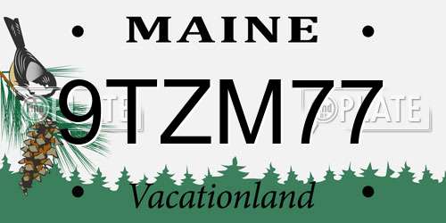 9TZM77 Maine License Plate
