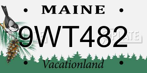 9WT482 Maine License Plate