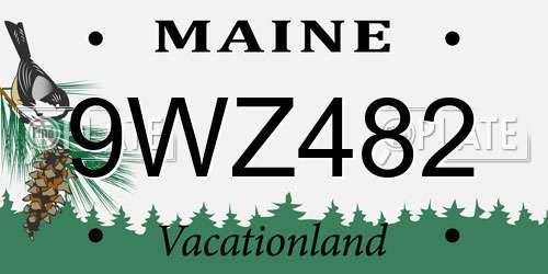 9WZ482 Maine License Plate