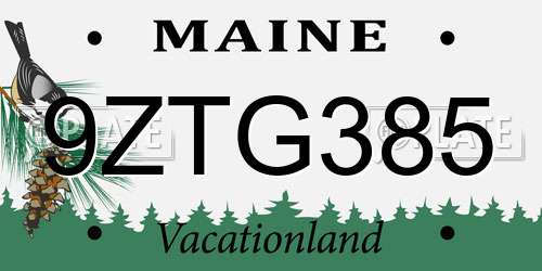9ZTG385 Maine License Plate